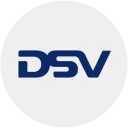 DSV_CFD